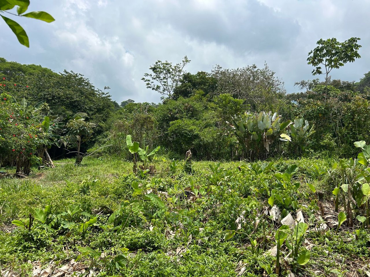 Affordable beach lot in Uvita