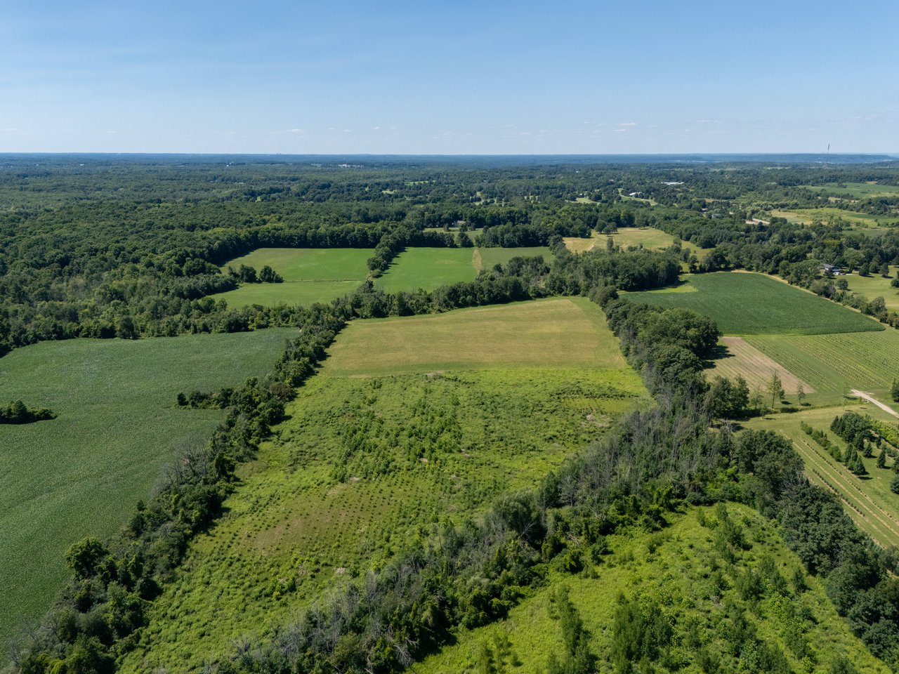 1270 1 Side Road, Burlington