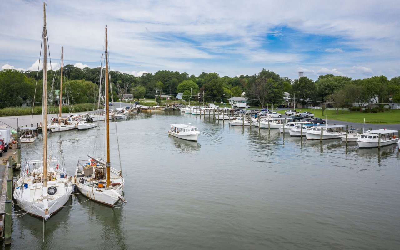 Tilghman Island