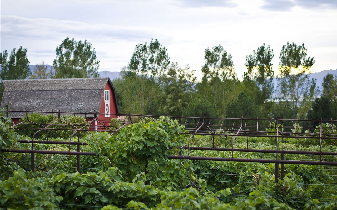 Cotati