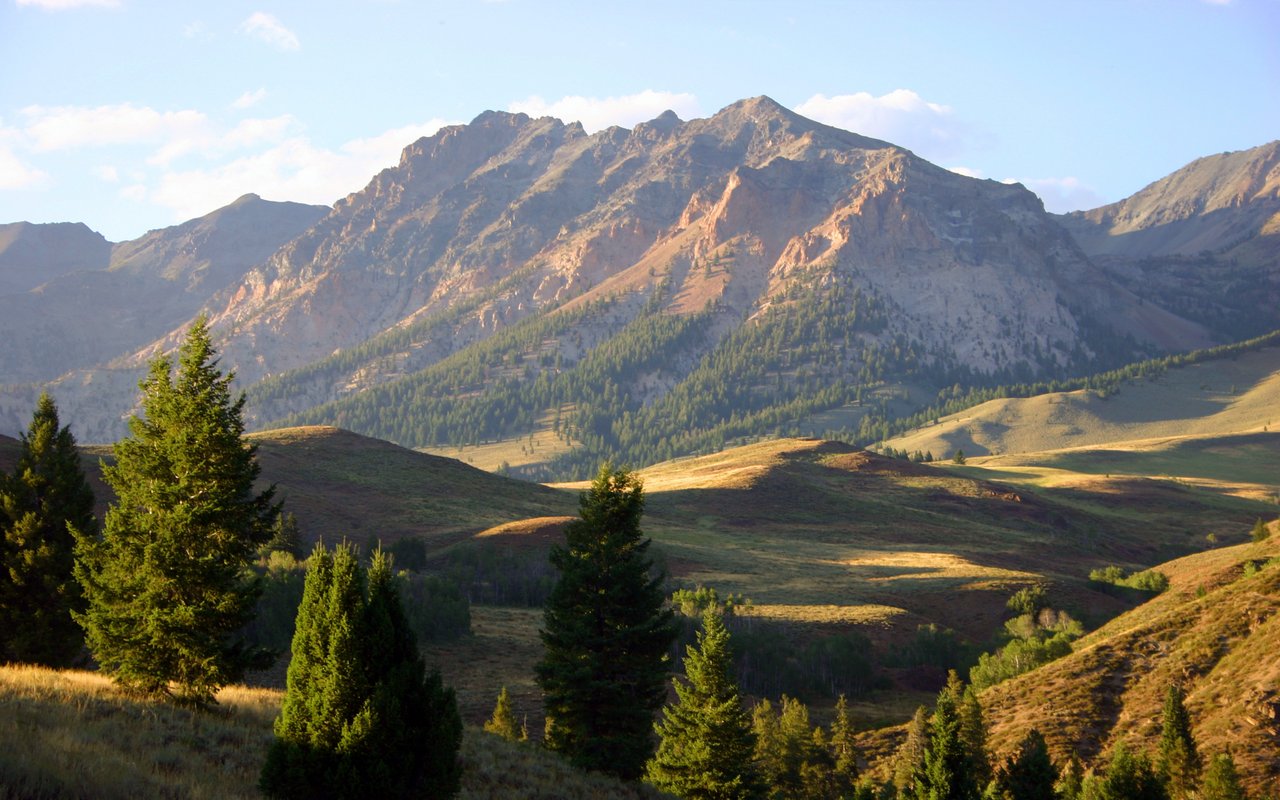 contact-form-background