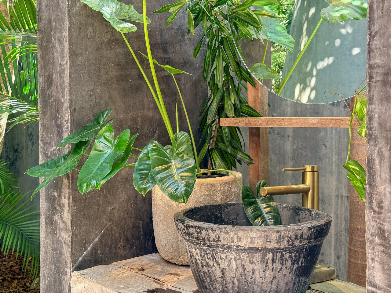 SELVATIK JUNGLE PODS 