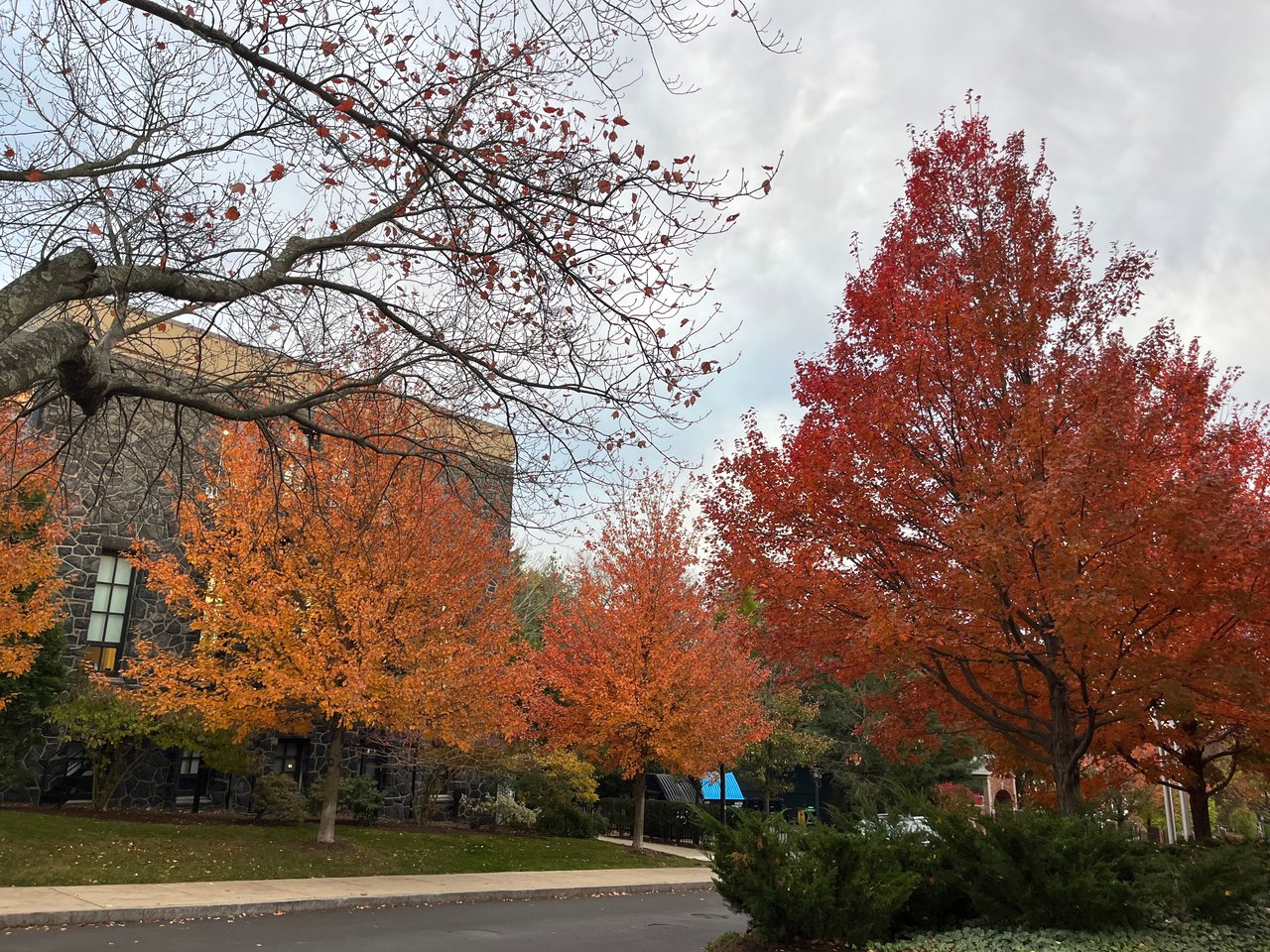 Autumn trees frame a stone building beside a quiet neighborhood street.