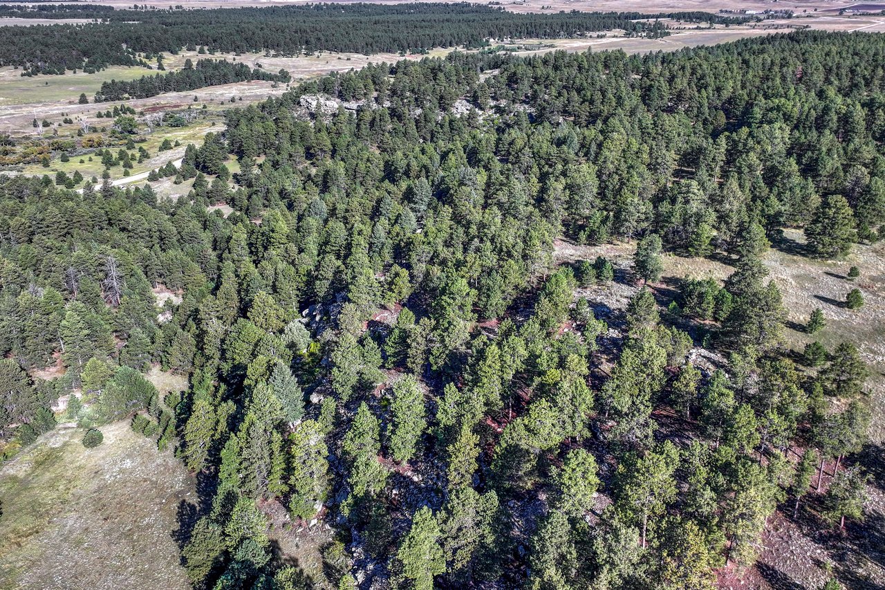 19100 County Road 17