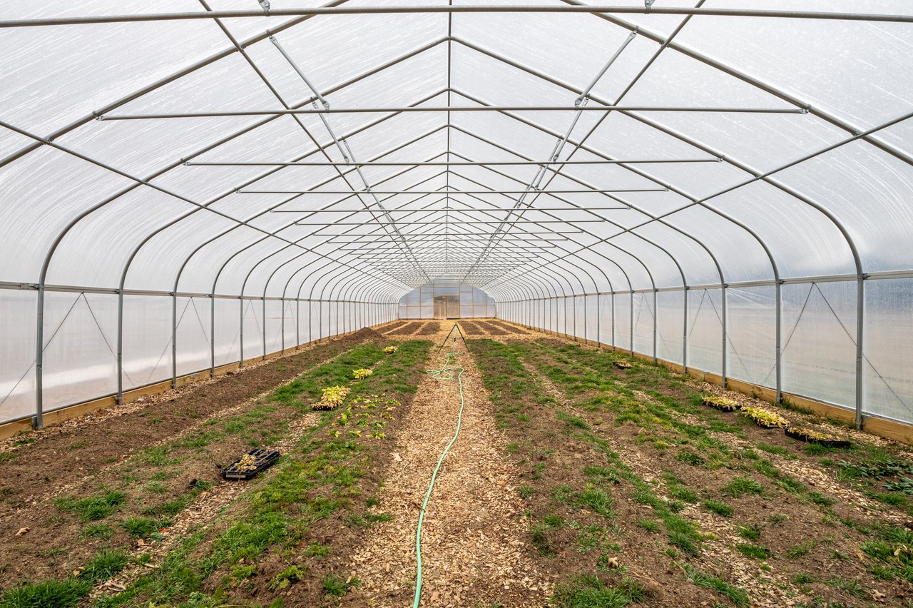 FOR LEASE: 40-Acre Agricultural Farmland (Hemp approved)