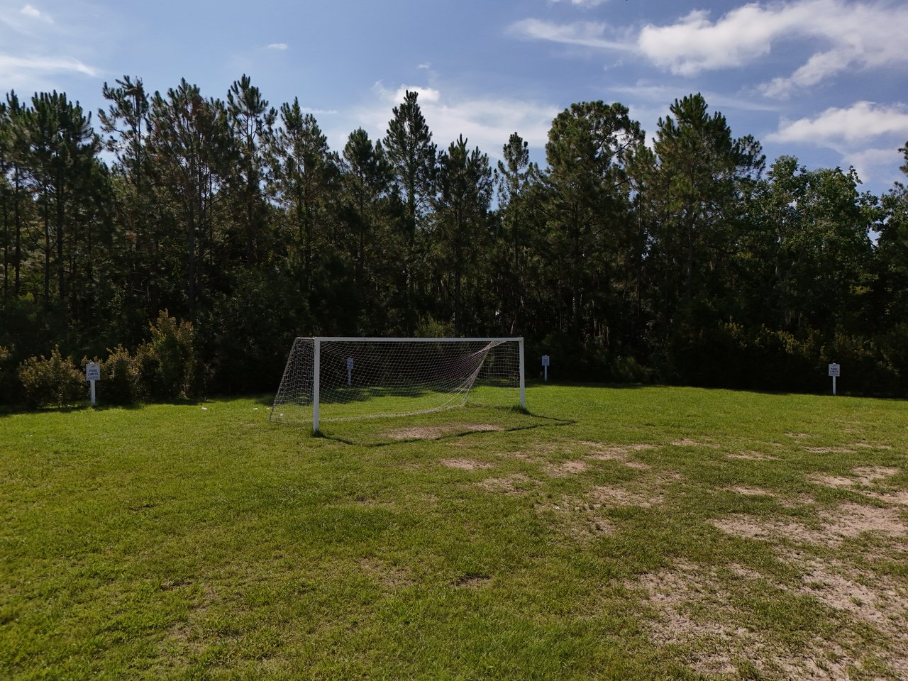 Soccer field with a white goal, patchy grass, and a wooded backdrop.