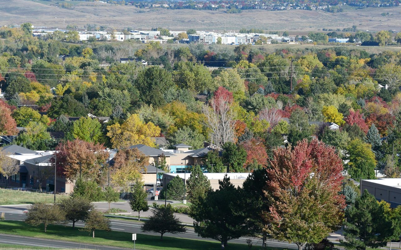 Autumn foliage and low-rise buildings across a suburban community, with dry hills in the distance.