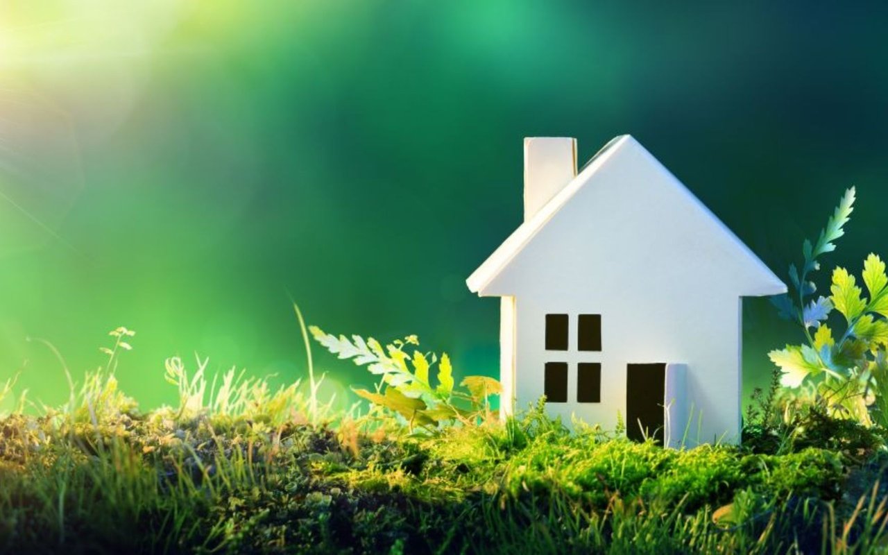 Eco-friendly Tricks at Home