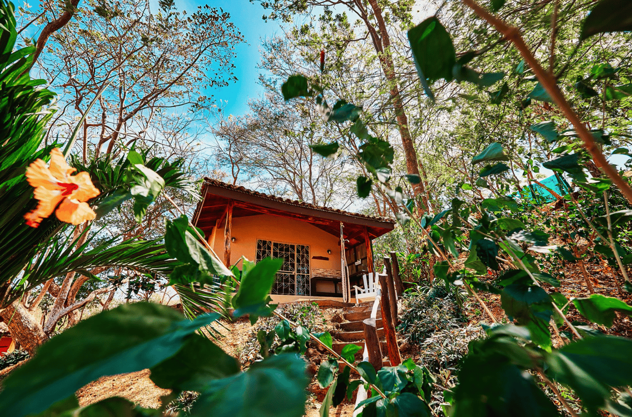 Mountain Oasis Retreat - 4 Acre Oceanview - Tamarindo