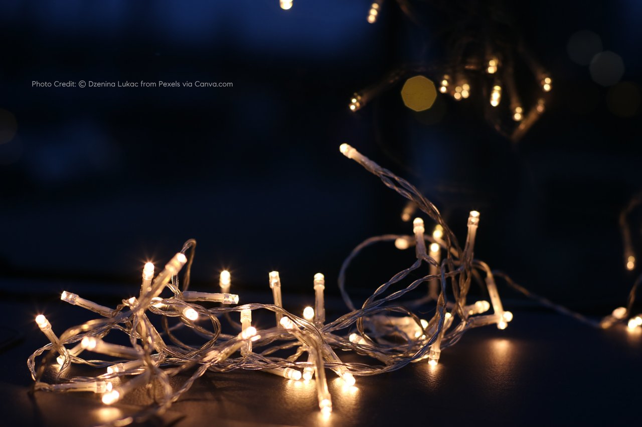 Holiday Light Spectacular: Marin’s Most Magical Winter Tradition Returns