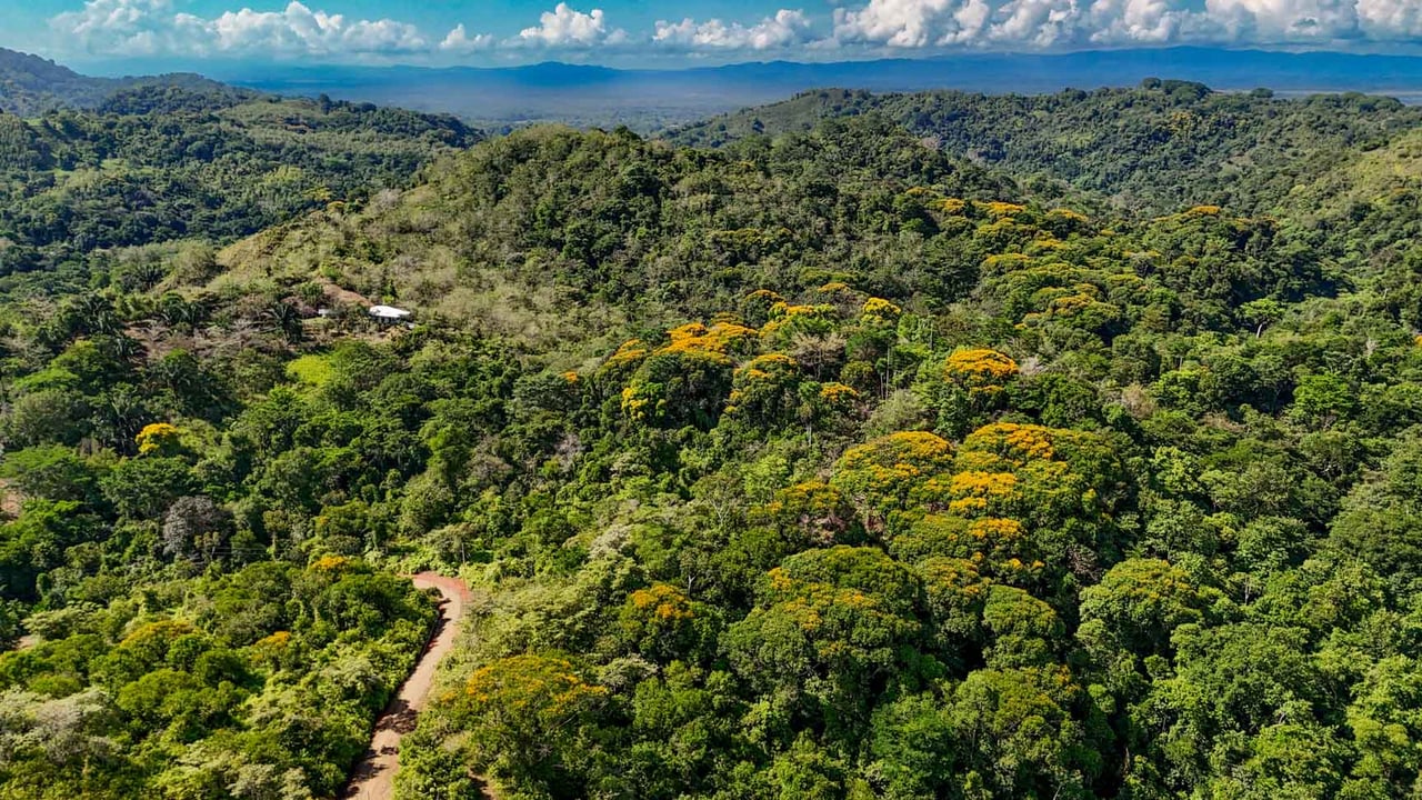 32-Acre Self-Sustainable Off-Grid Farm Near Ojochal with House, Solar Power & River