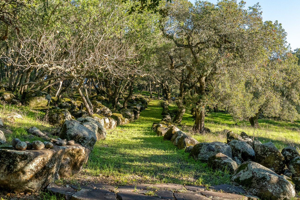 5100 Lovall Valley Loop Rd. 