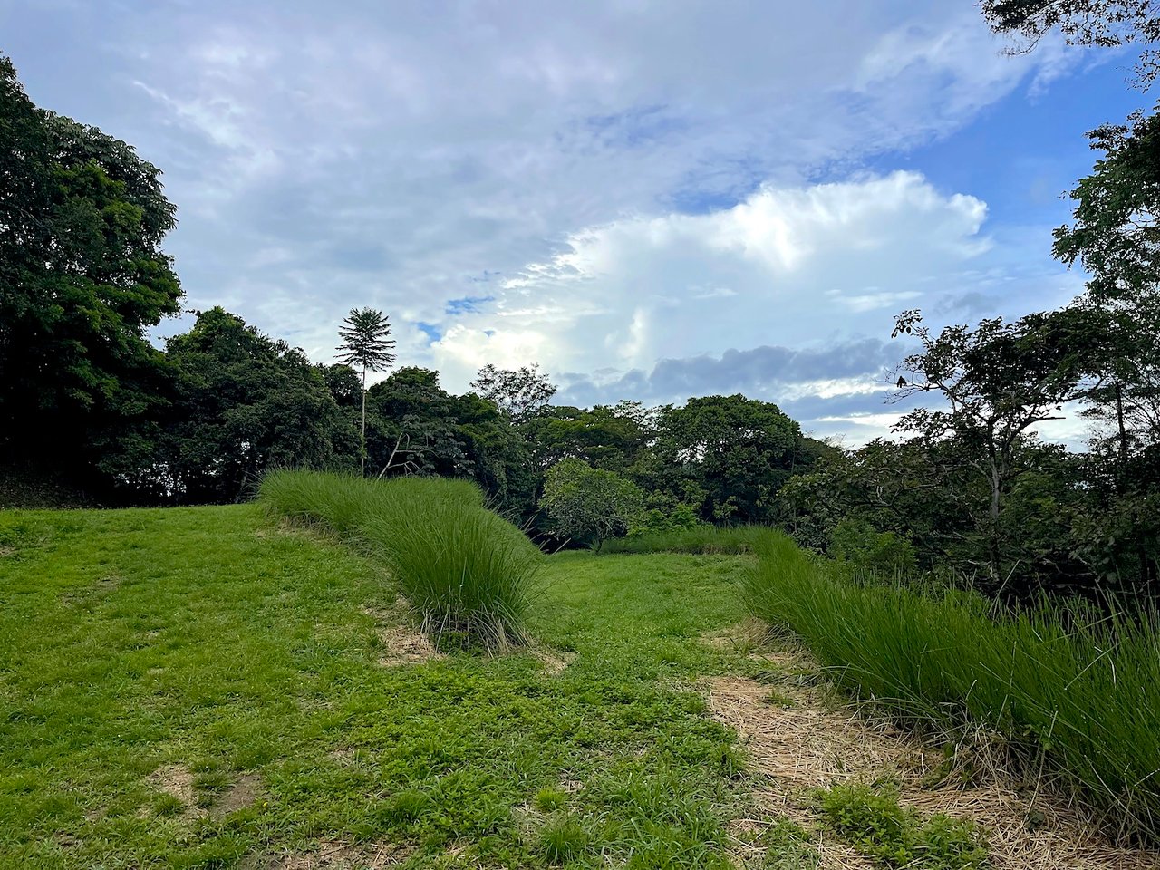 SPECTACULAR MOUNTAIN AND PARTIAL OCEAN VIEW PROPERTY