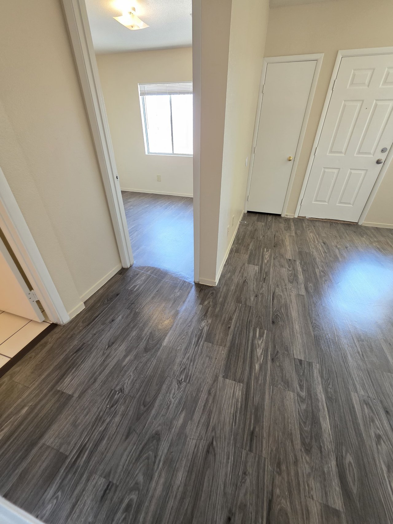 3849 Soda Springs Drive - 1