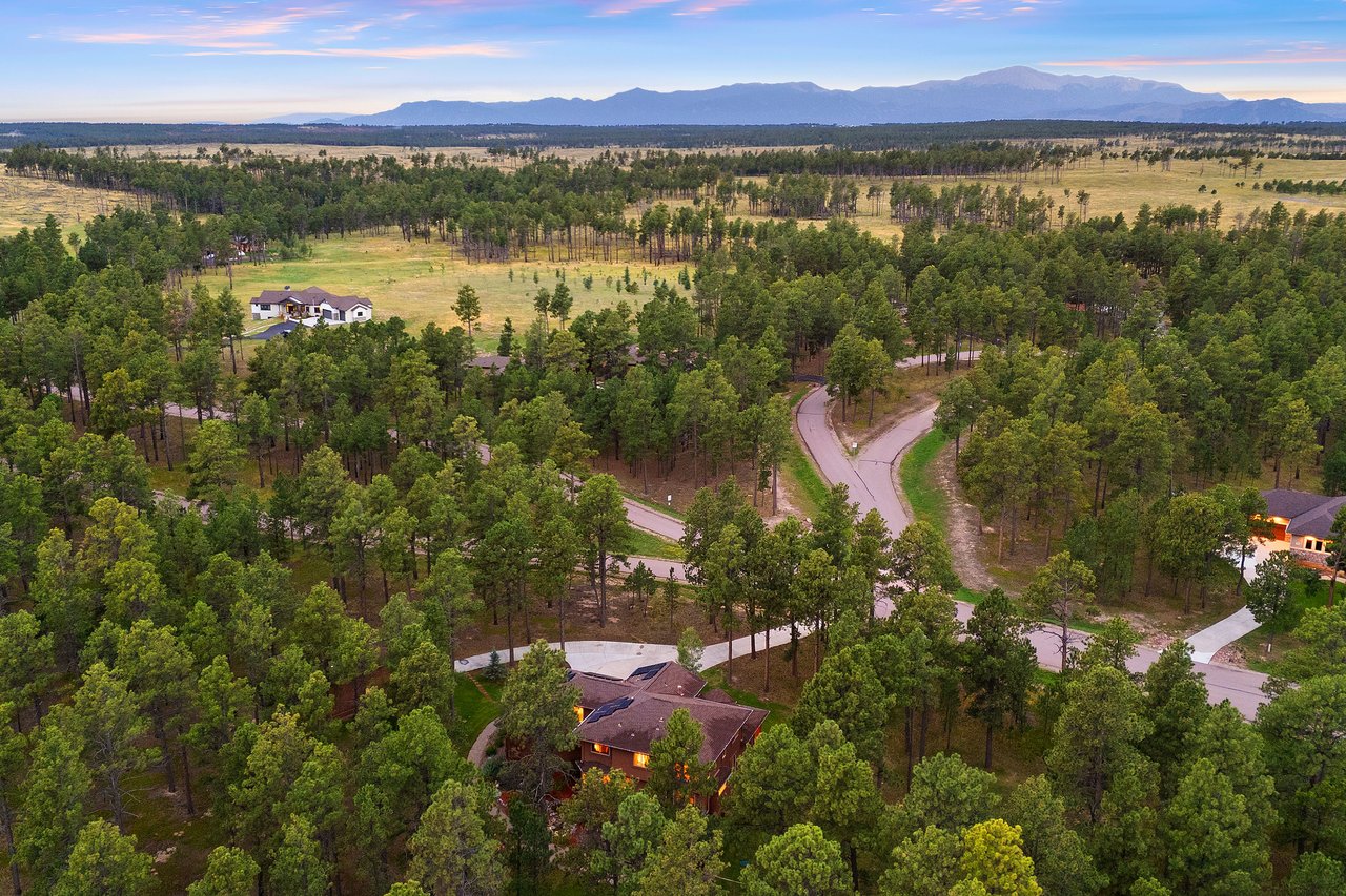 14953 Snowy Pine Point