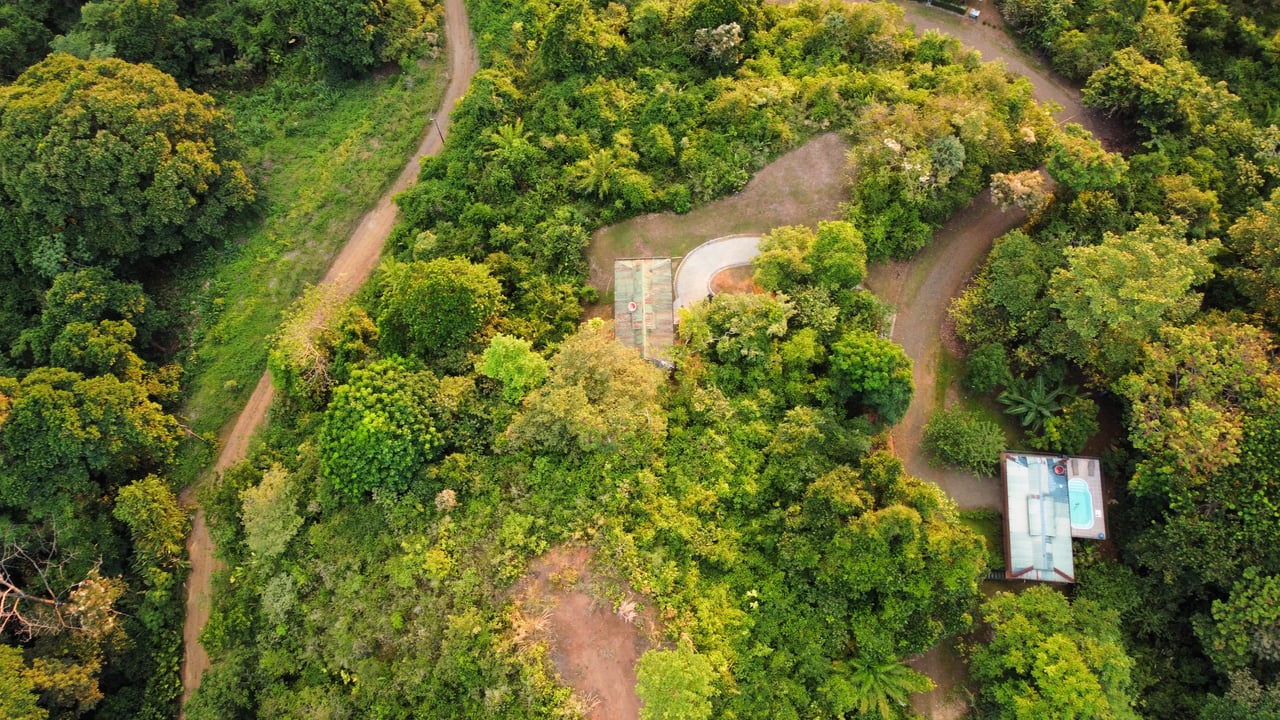Villa Vista Hermosa | Nature refuge near Manuel Antonio National Park