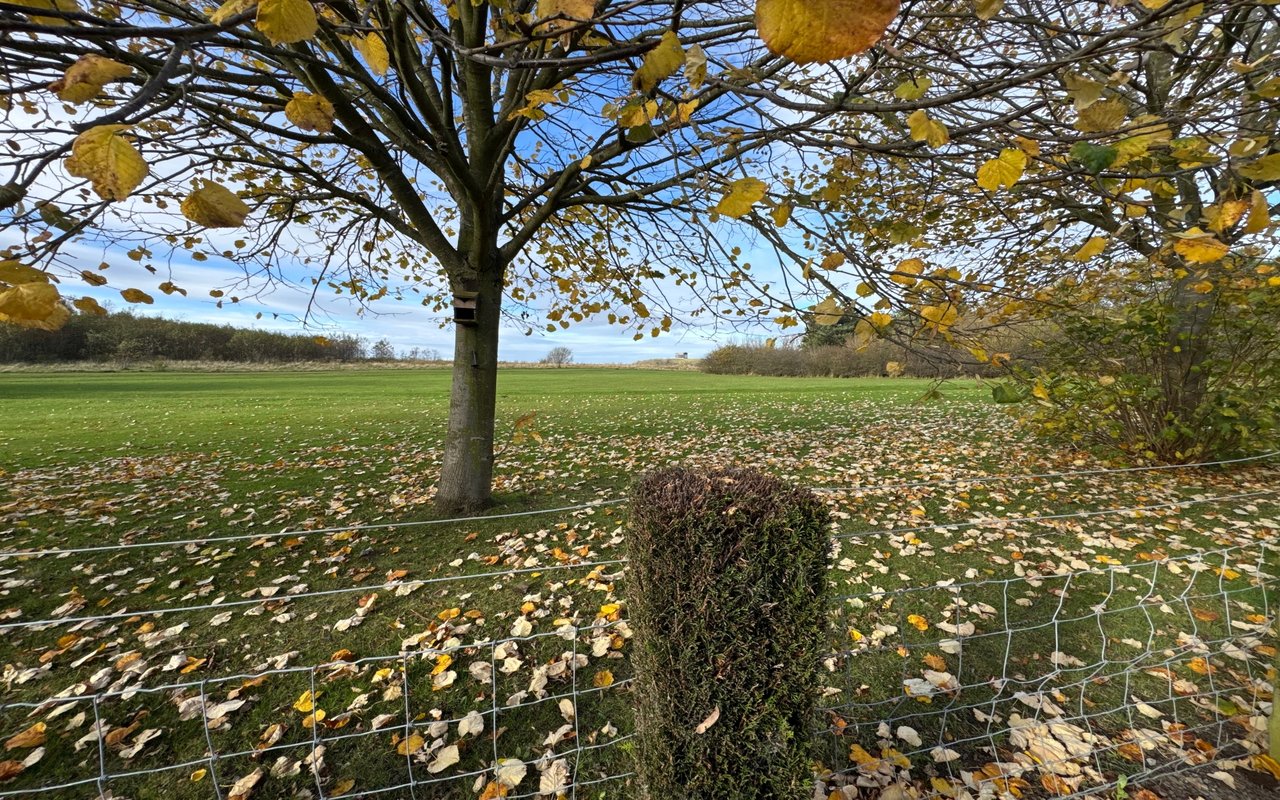 Harrington Park