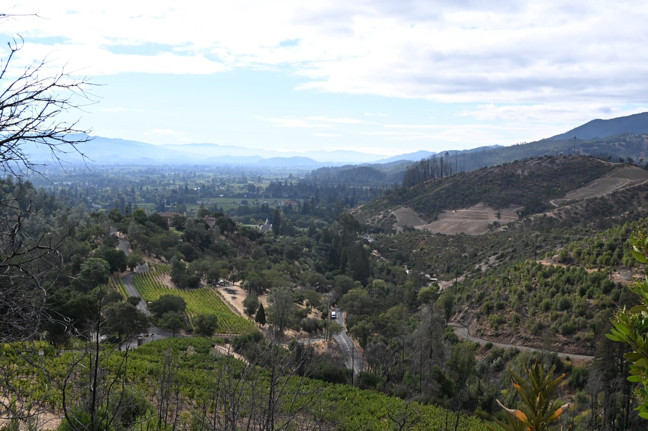 2910 Spring Mountain Rd