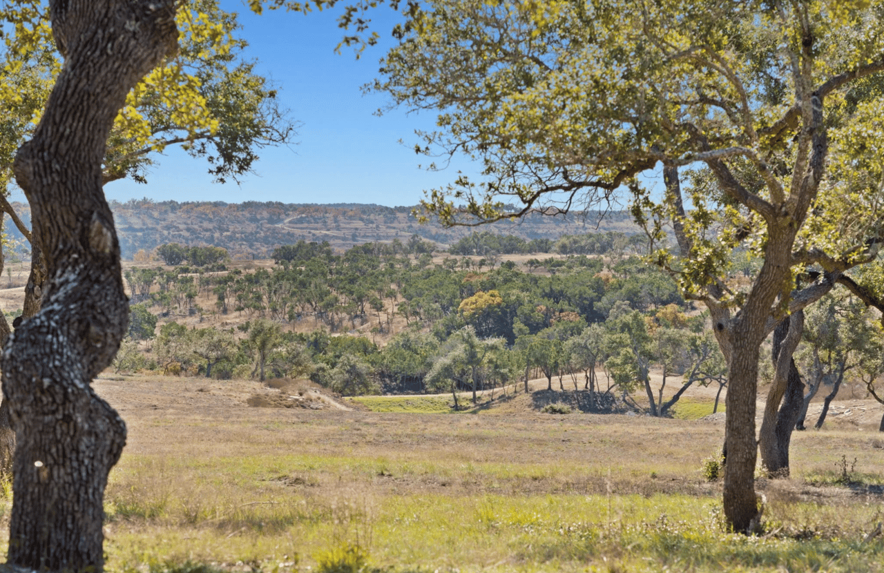 Undeveloped ranch land framed by oak trees, with woodland and rolling hills beyond.