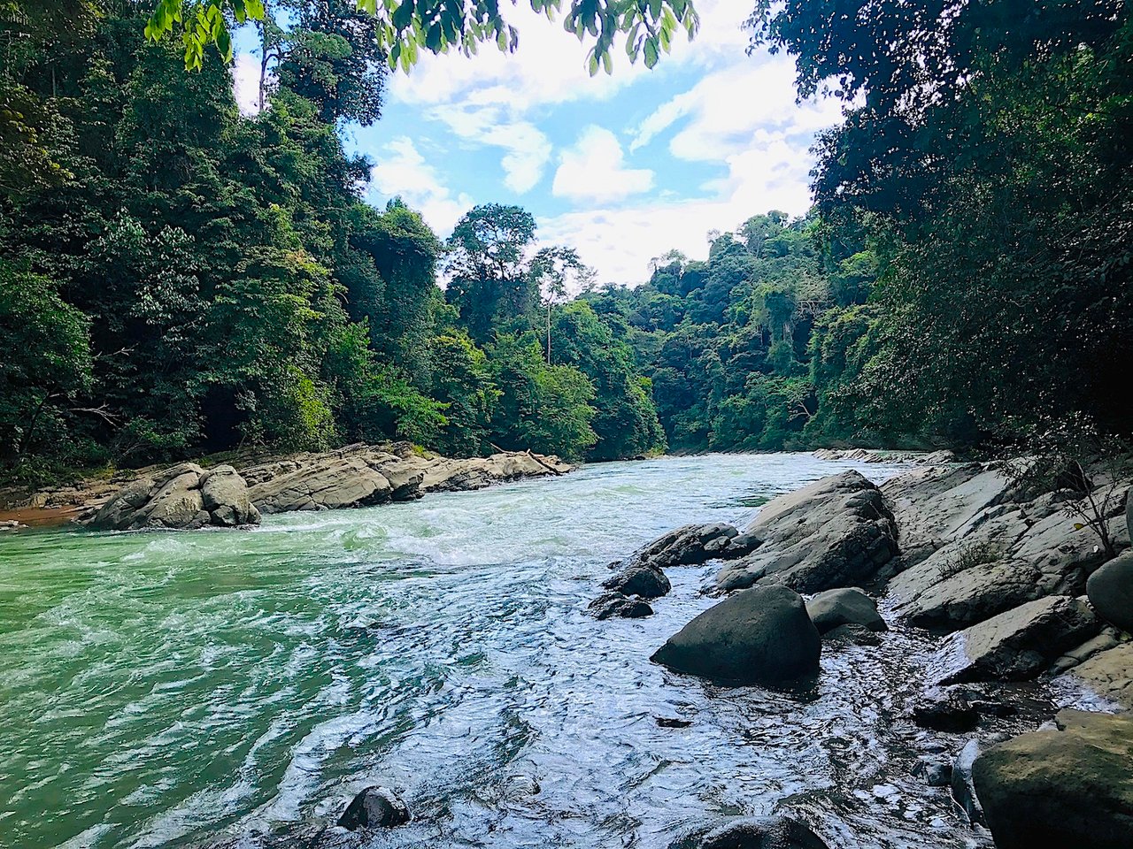 30-ACRES OF LAND WITH RIVER ACCESS, ROADS, AND BUILDING PADS IN LAGUNAS