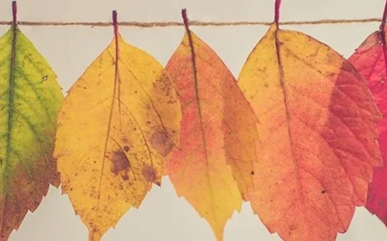 It’s Almost Fall! 7 Ways to Prepare Your Home for Autumn