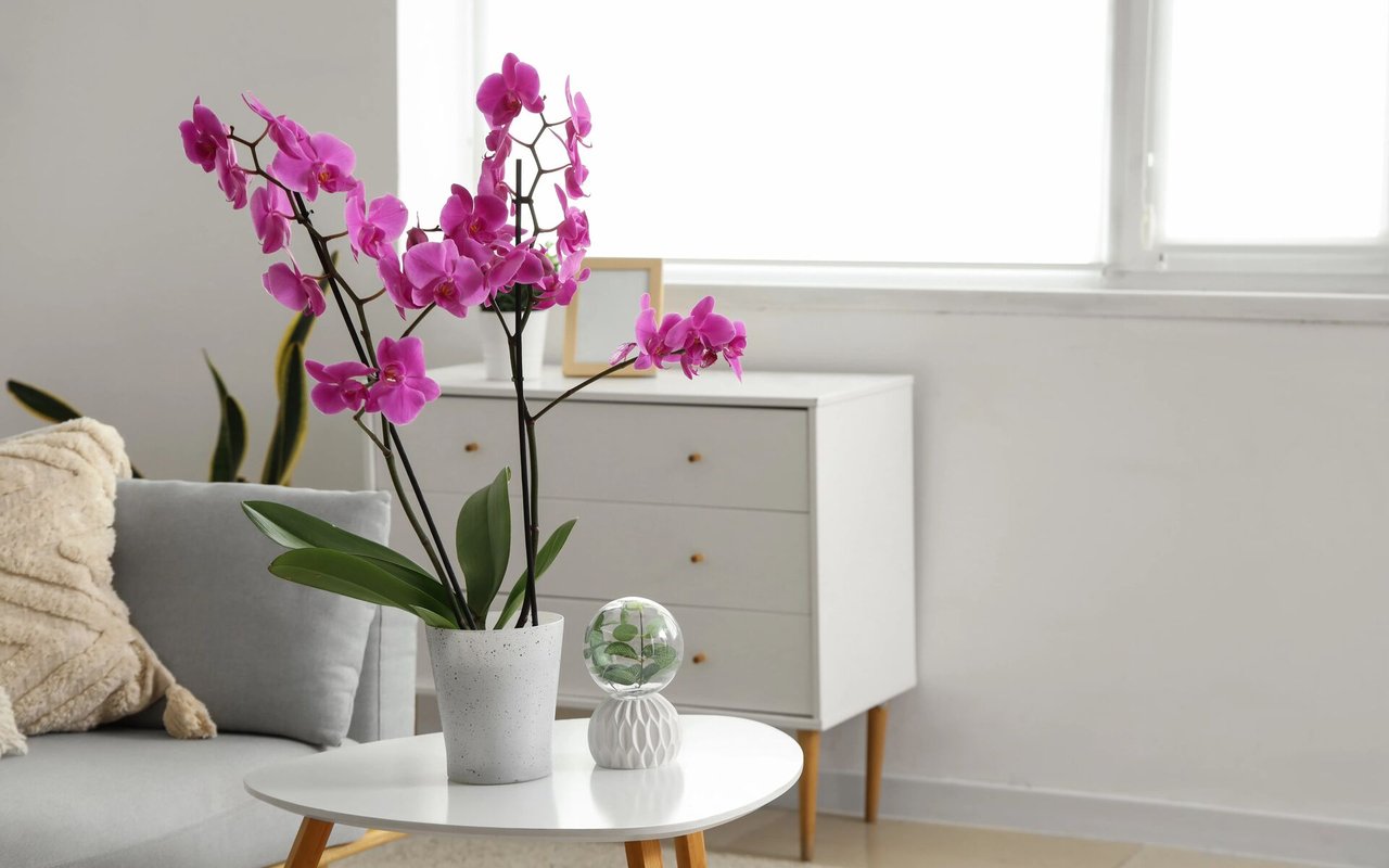 5 Things to Remember When Selling Your Home in Spring