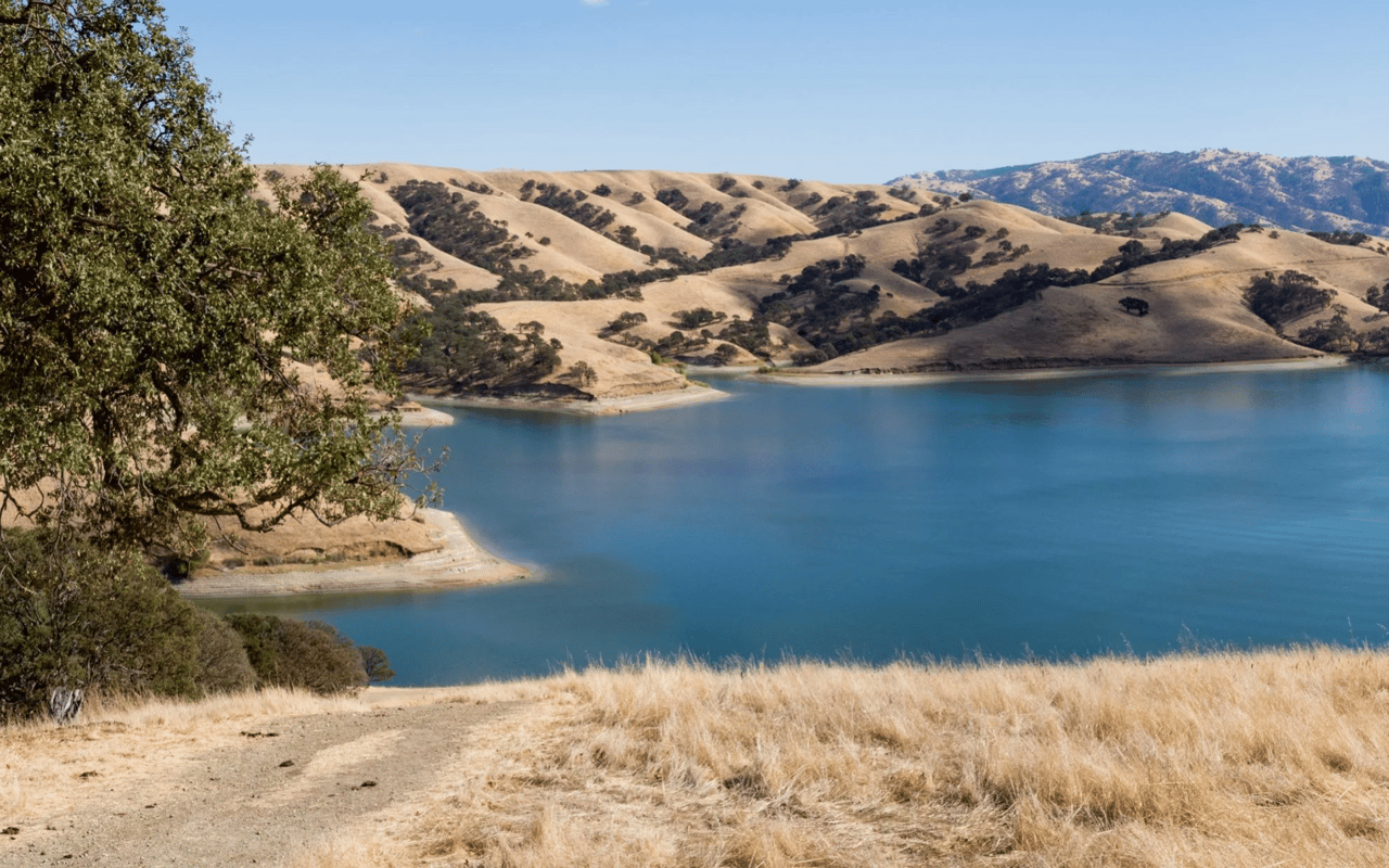 Berryessa