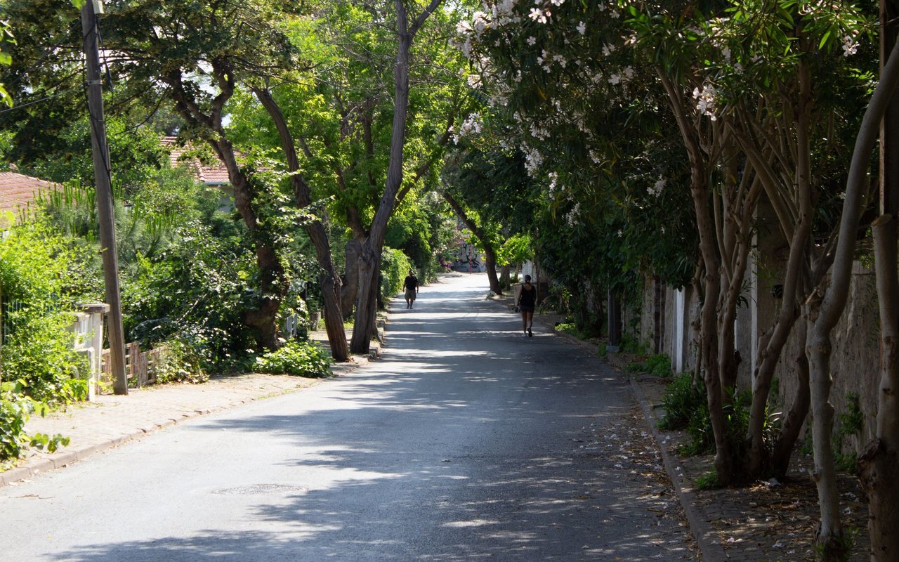 Greyland Hills