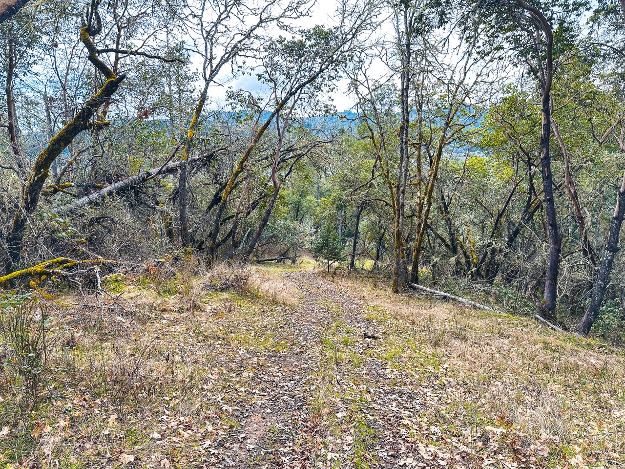 SUTHERLIN HEIGHTS