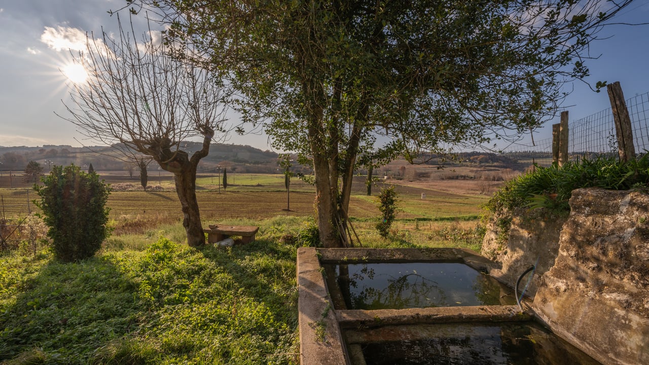 PODERE MAGGIO