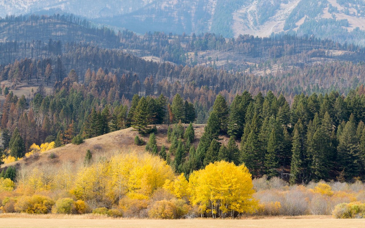 Bridger Canyon