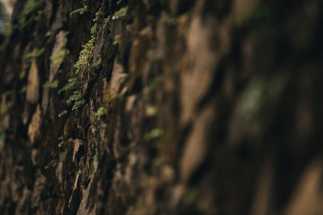  Punta Sabana & Mar Serena