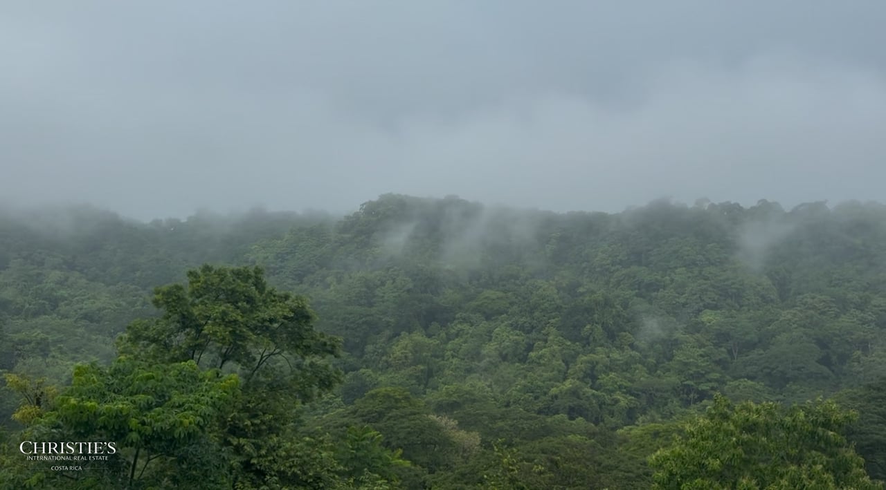 Santa Teresa Town – Heart Hillside