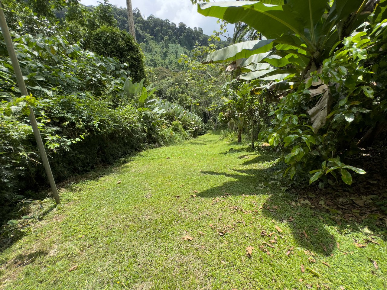 Valley of the Horses , Multi-Home Mountain Retreat -Dominical