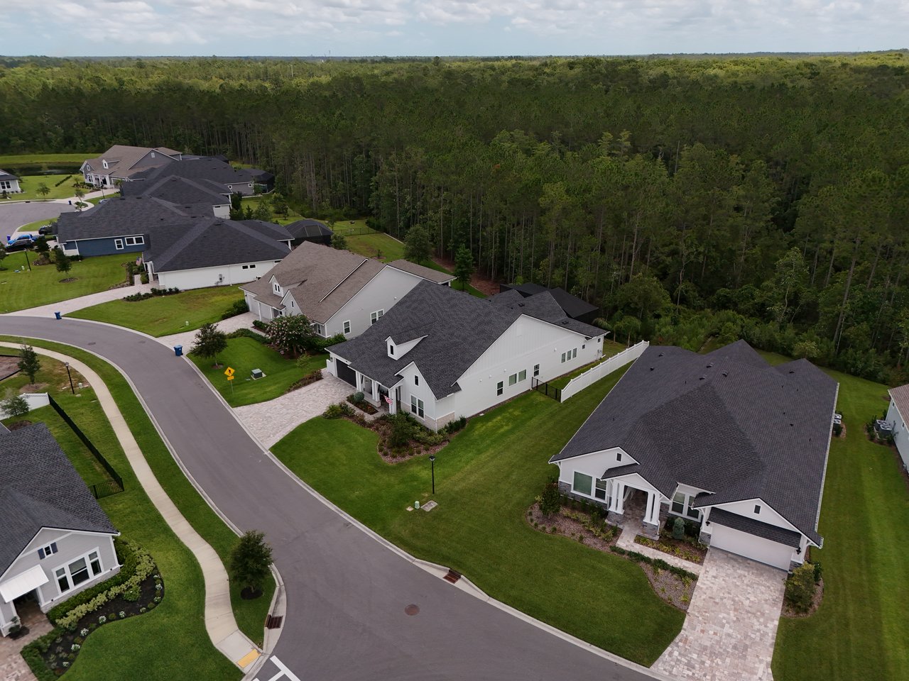 Aerial view of homes along a curved neighborhood street beside dense woodland.