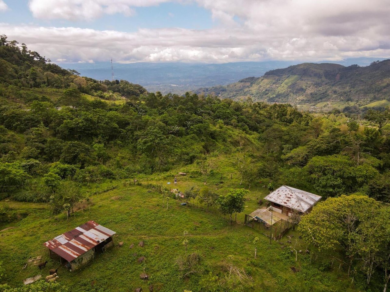 Sustainable Organic Mountain Farm, Perez Zeledon, San Jose