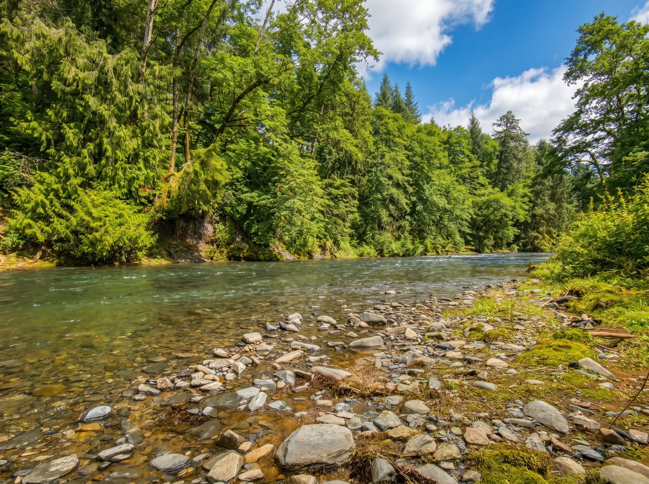 Sold riverfront cabin at 78488 Highway 53 in Nehalem, Oregon, with North Fork Nehalem River frontage, wooded views, deck space, and buyer representation by Erin Laskey of Home + Sea Realty.