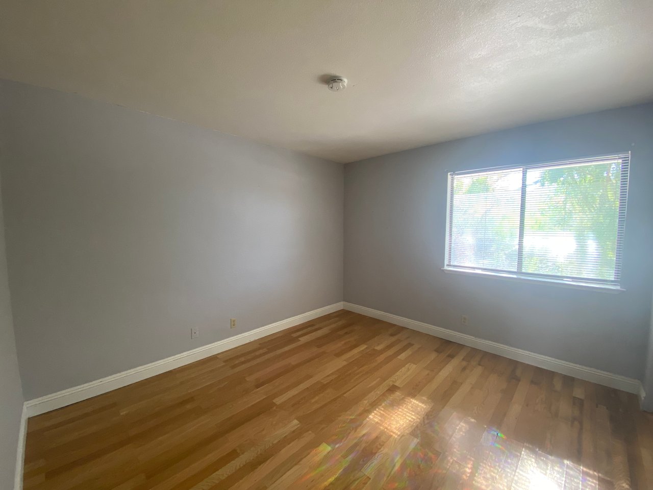 2807 Tulip Court #1