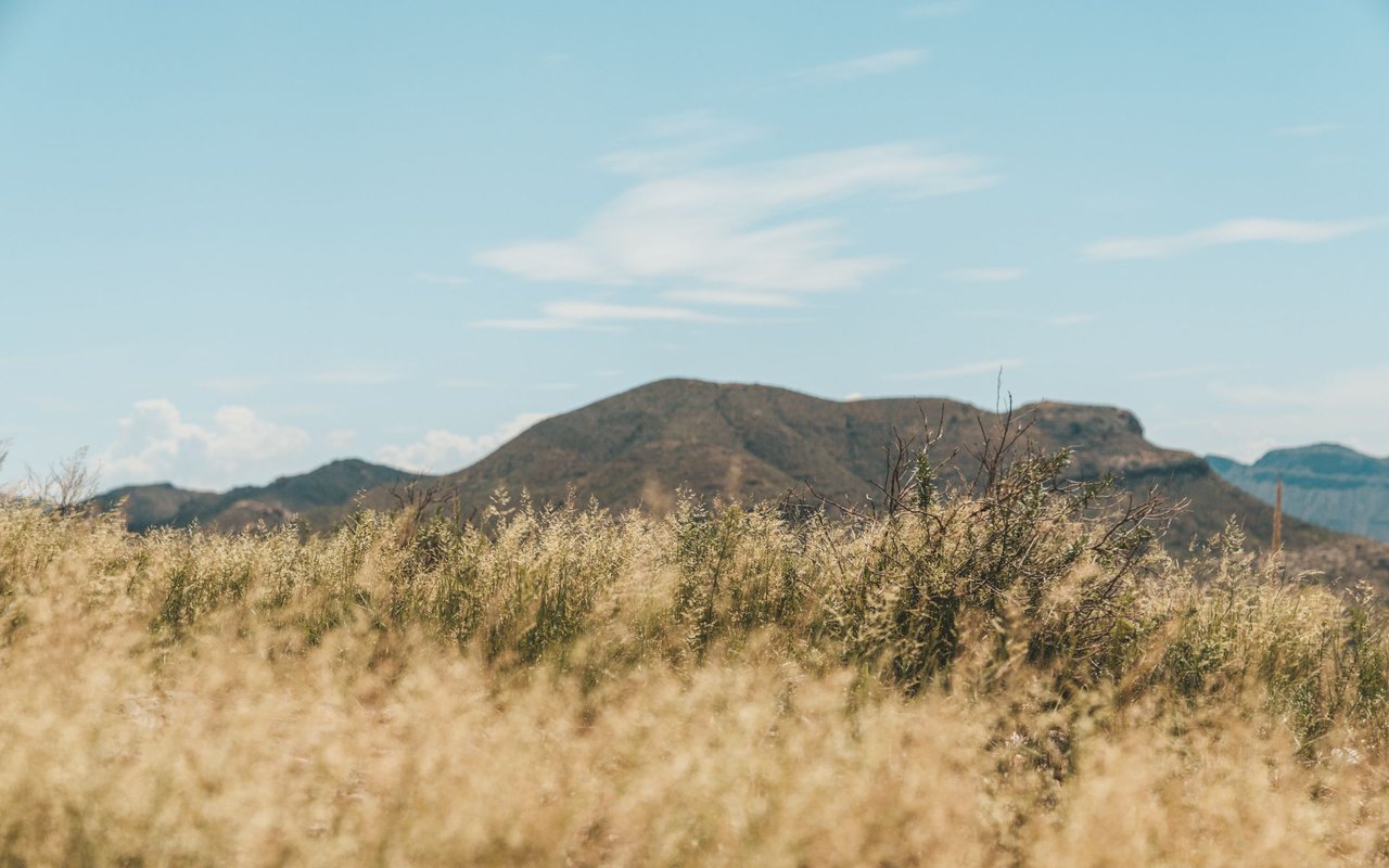 Kramer Junction