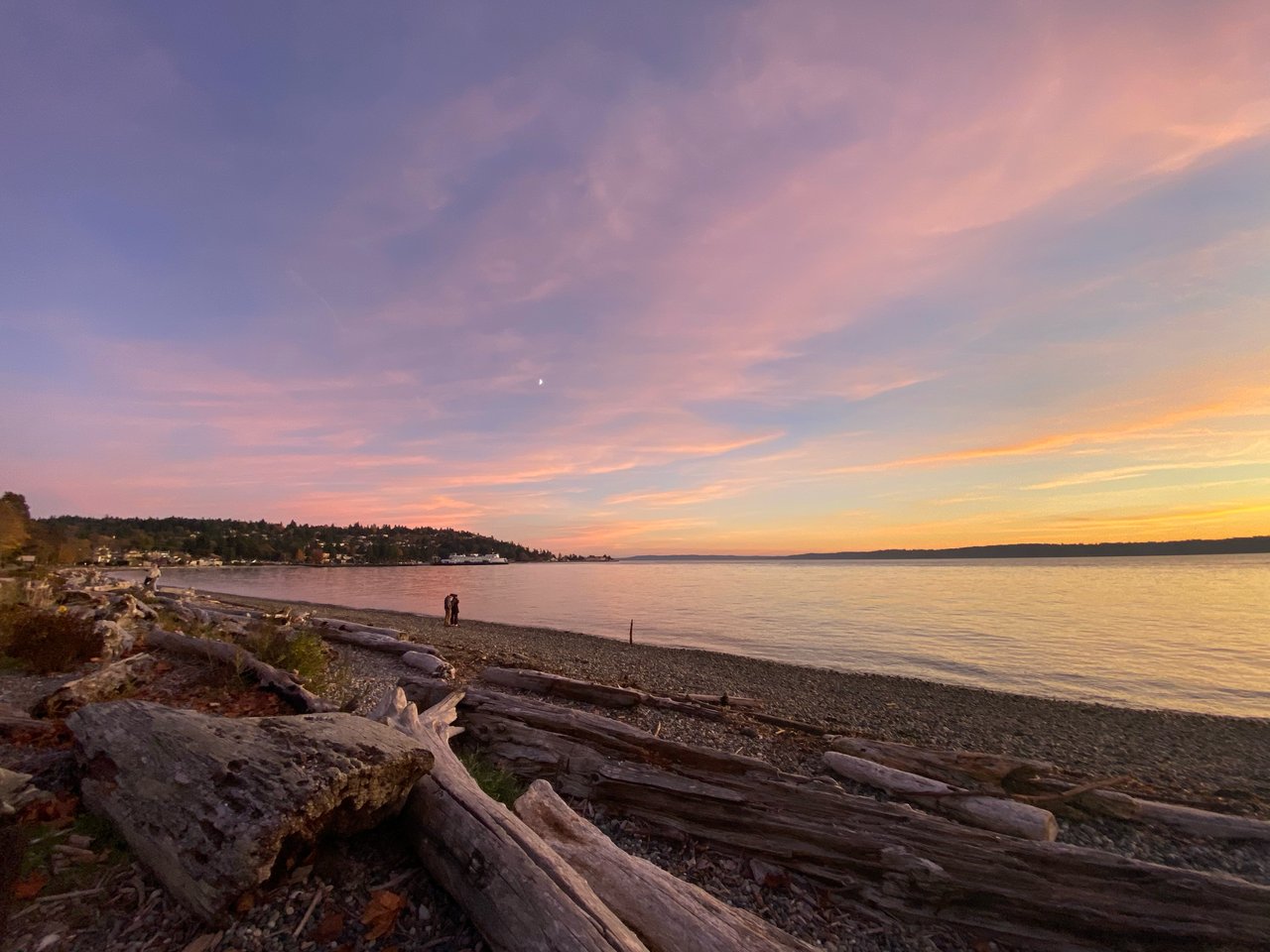 Lincoln Park