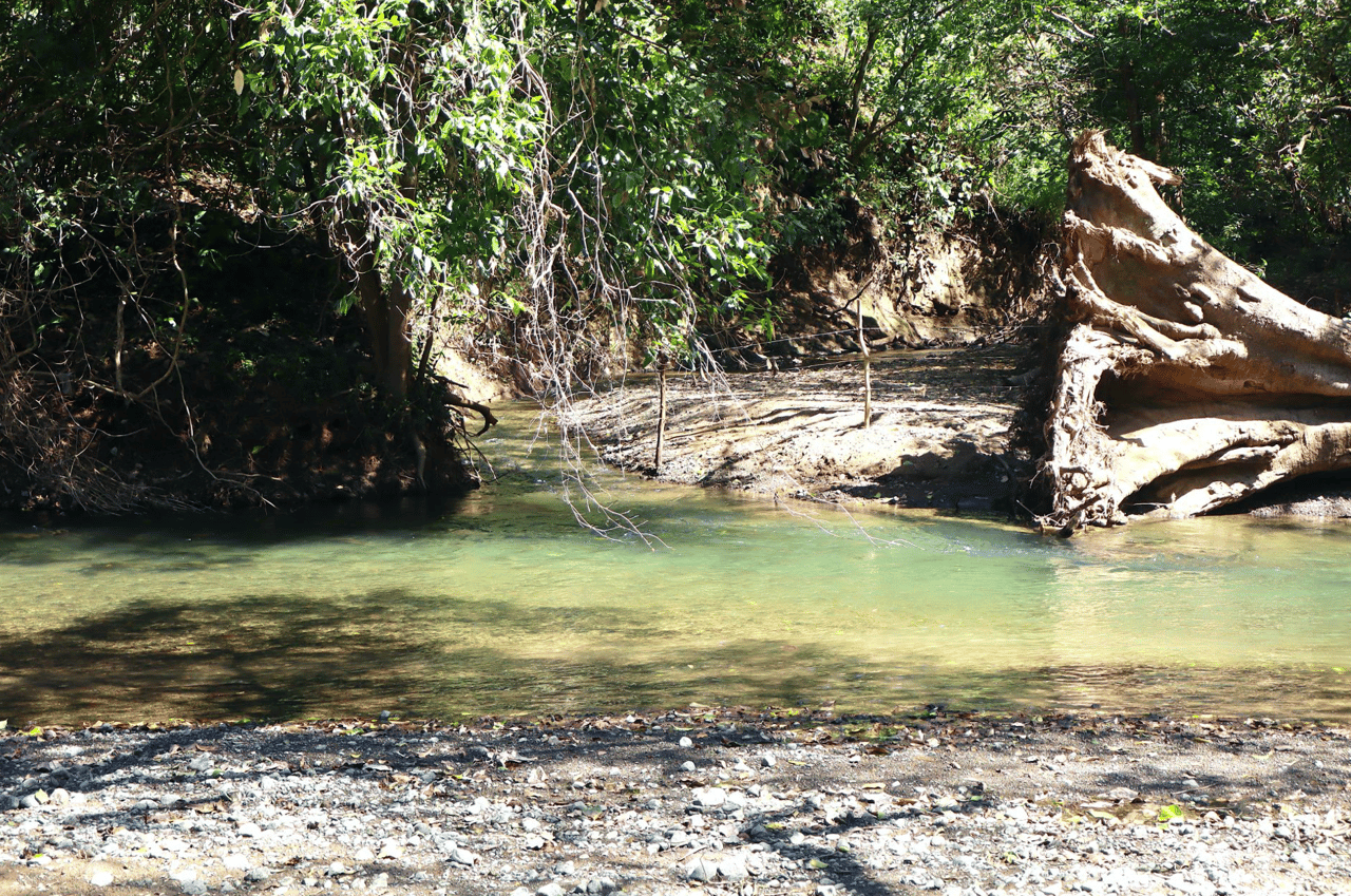 Eco Sanctuary In Playa Marbella - 250 Acre Riverfront