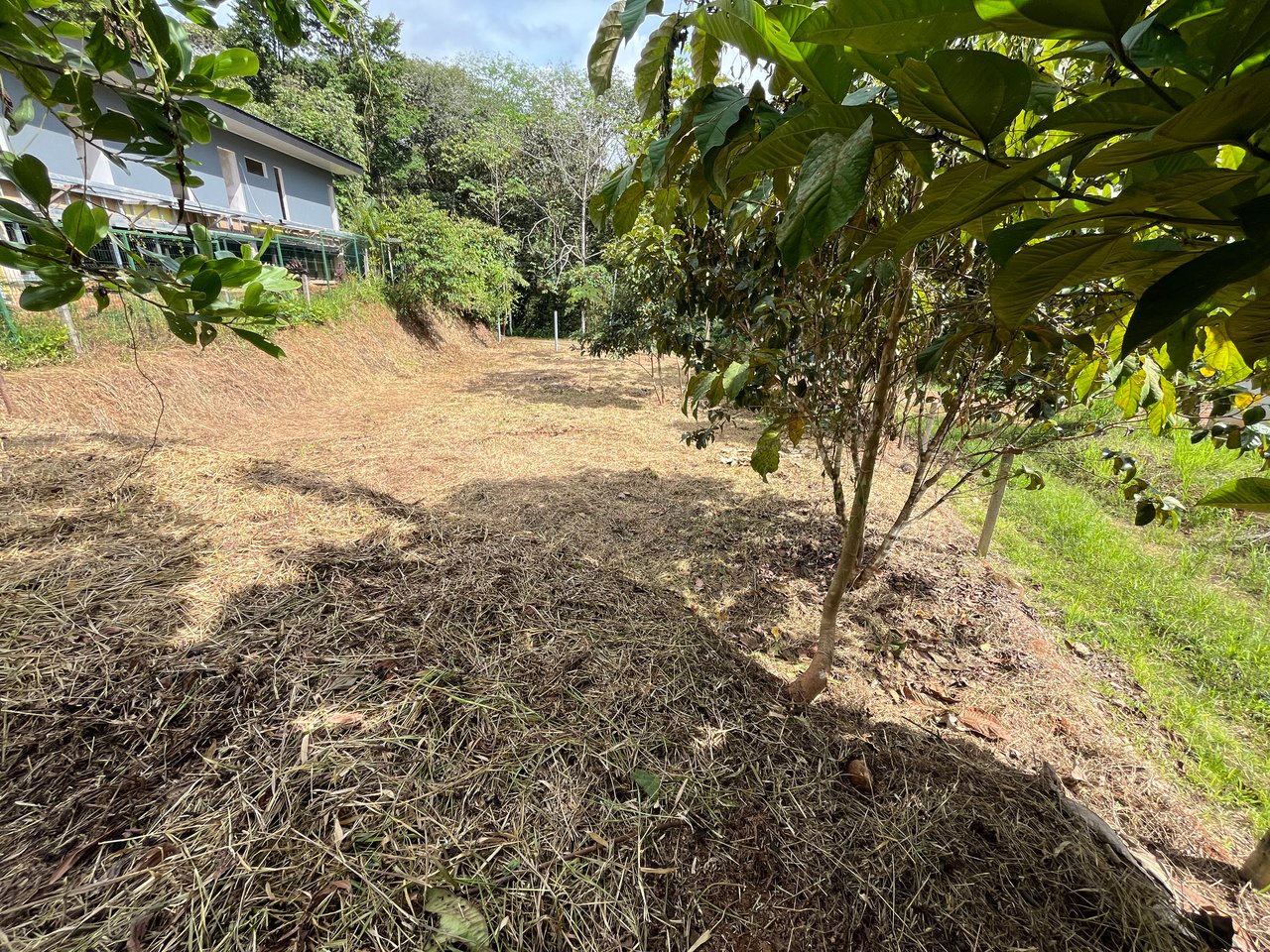 Affordable Uvita Lot UNDER $200-per-sqm - Perfect for Your Dream Home or Airbnb Investment