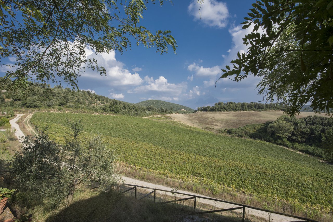 Tenuta Malacoda; Wine & Agricultural Estate