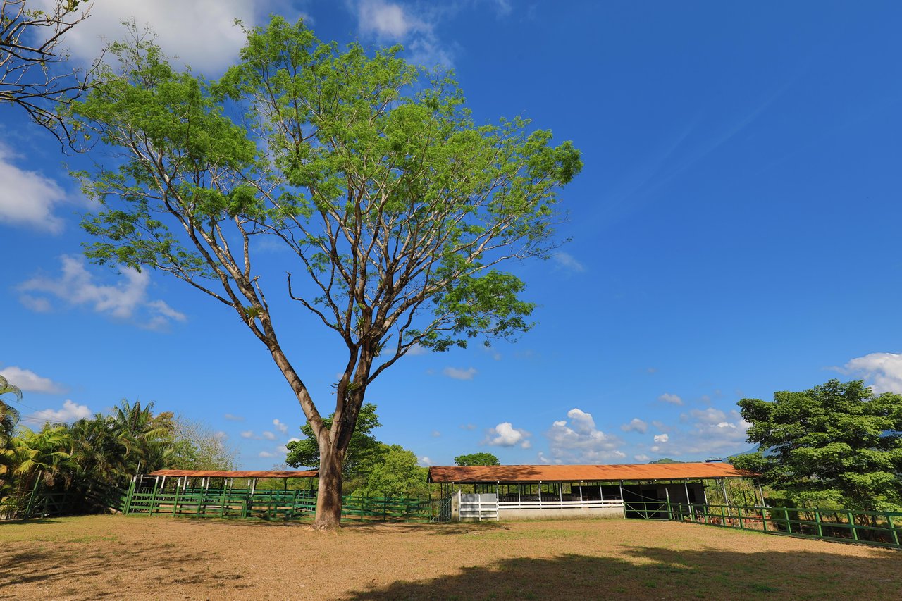 Hacienda-Style Retreat For Sale in Naranjito
