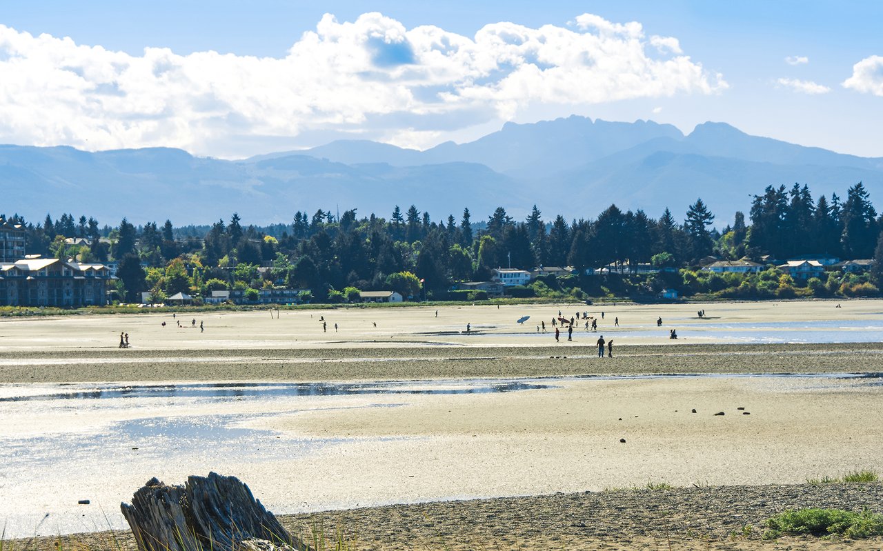 Macdonald Realty Parksville
