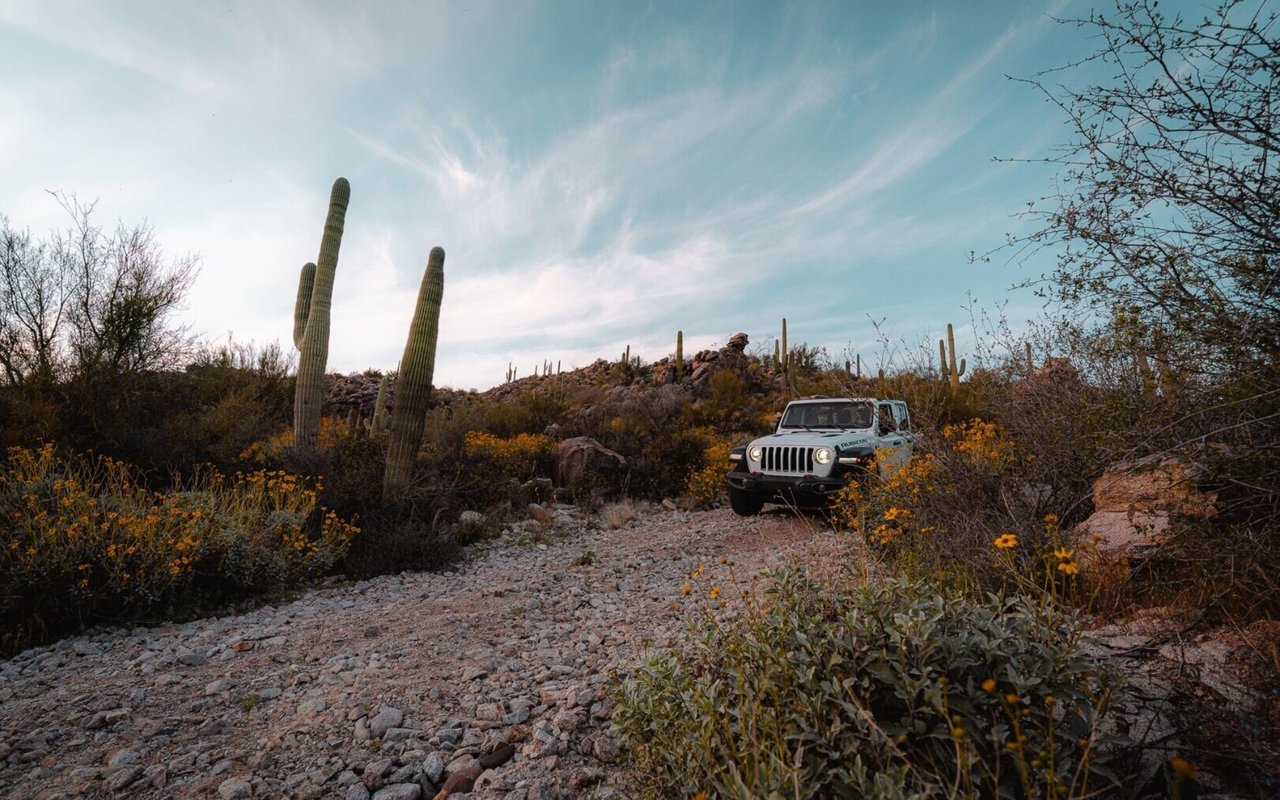 Take the Saguaro Ranch Driving Tour