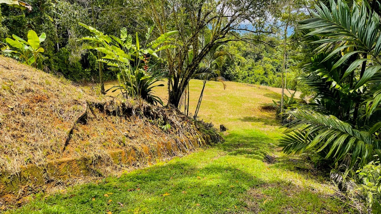 Scenic 2.53 Acres in Fila Cacao Ridge – Build-Ready Lot with Legal Water in Platanillo!