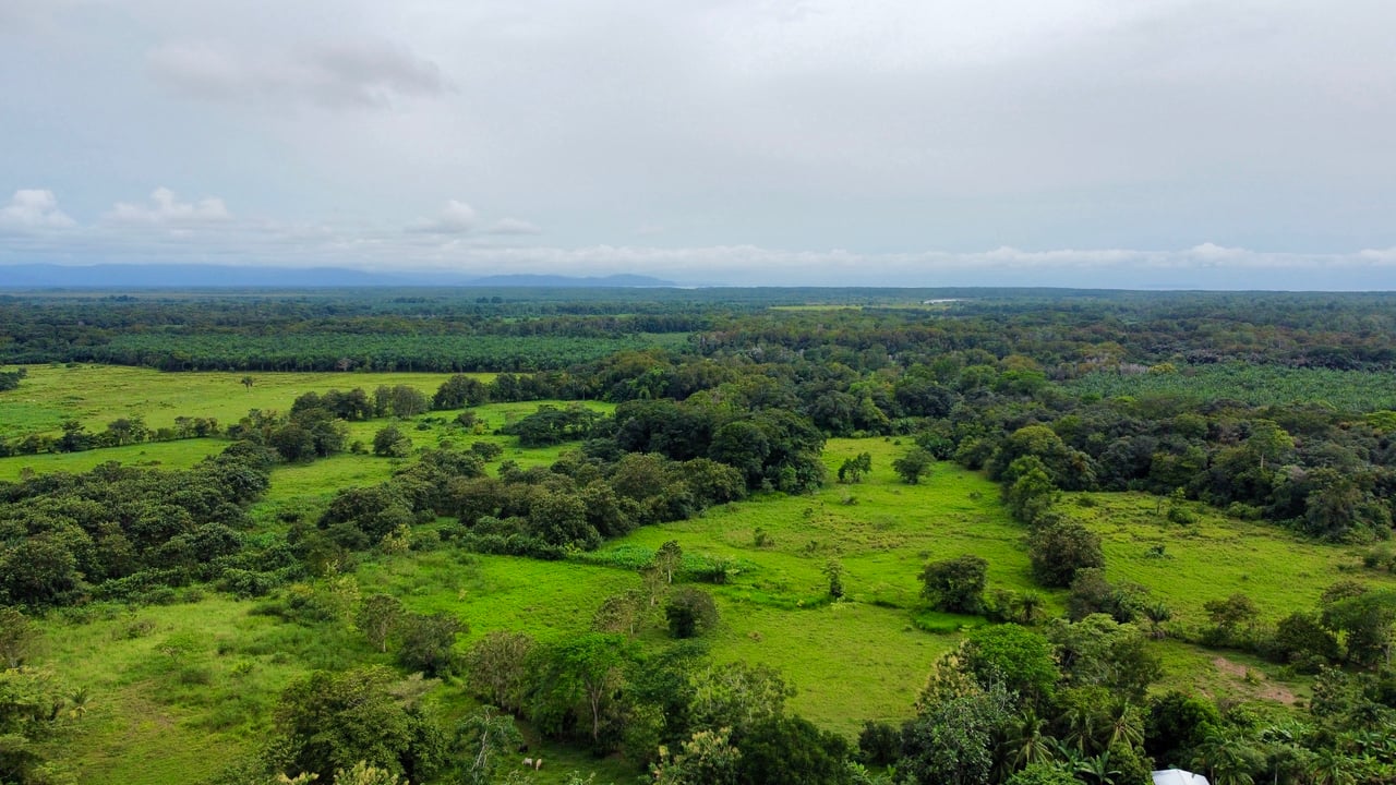 Tawal Lots for Sale – Prime Commercial & Residential Opportunity