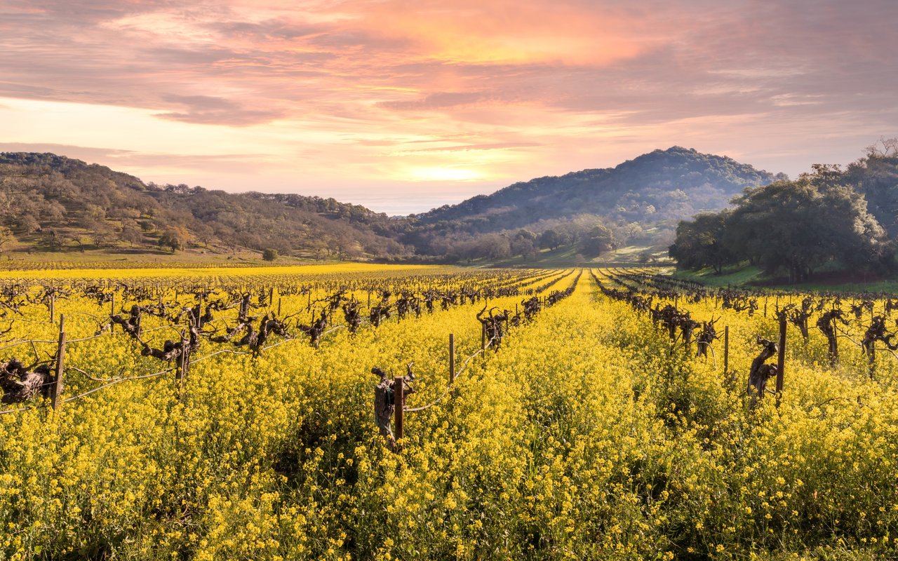 Healdsburg