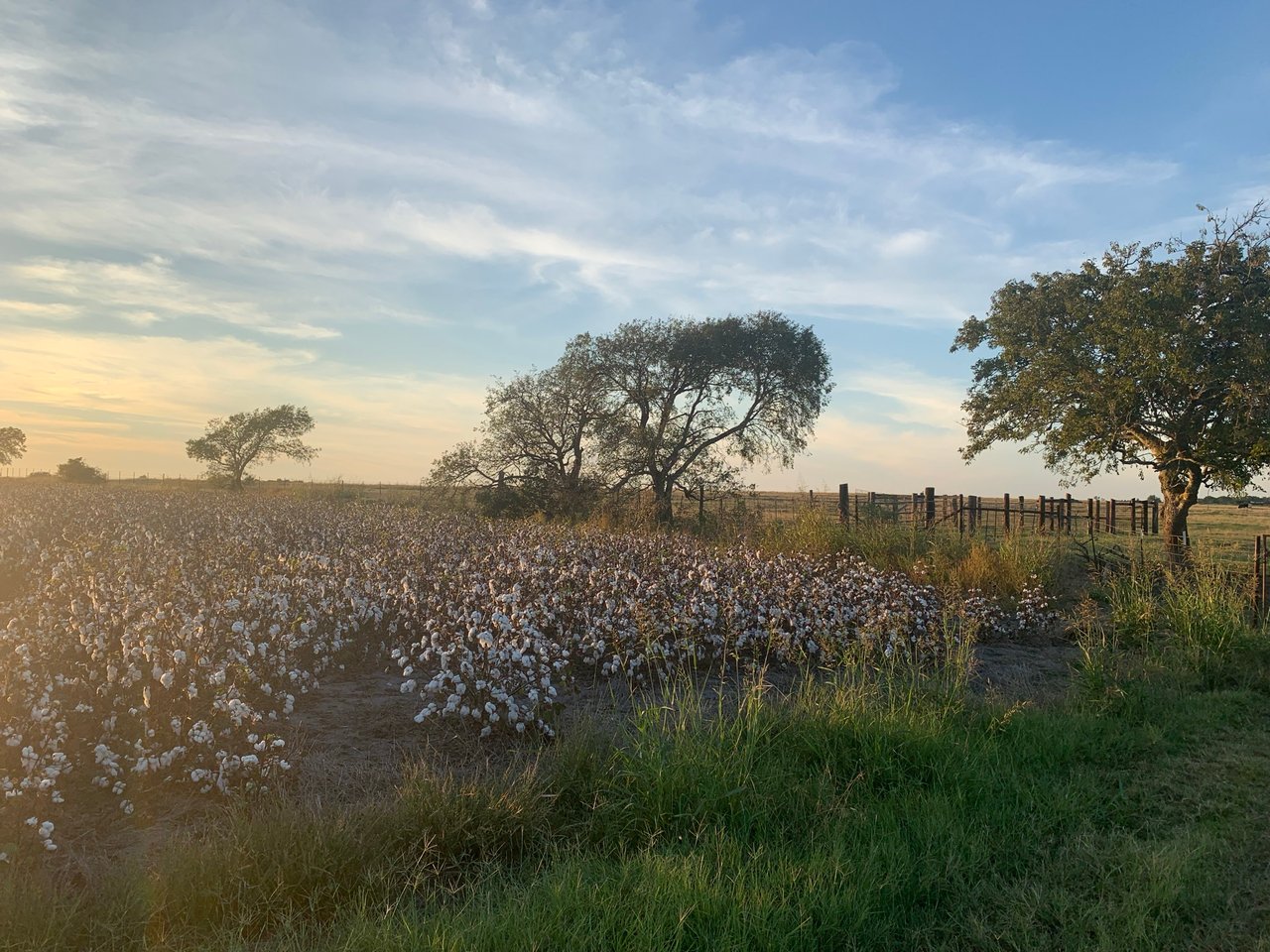 Land for sale in Georgetown